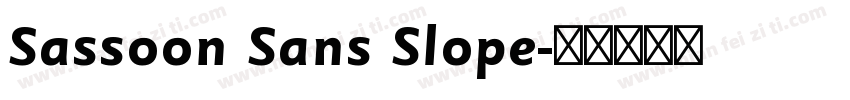 Sassoon Sans Slope字体转换